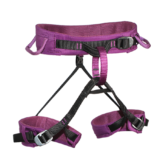 ARNES PELVICO TALLA XS MORADO ESCALADA Y RAPEL CE-EN 12277-UIAA VIRGO XS 4123211 ARMBURY